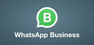 whatsapp business turismo