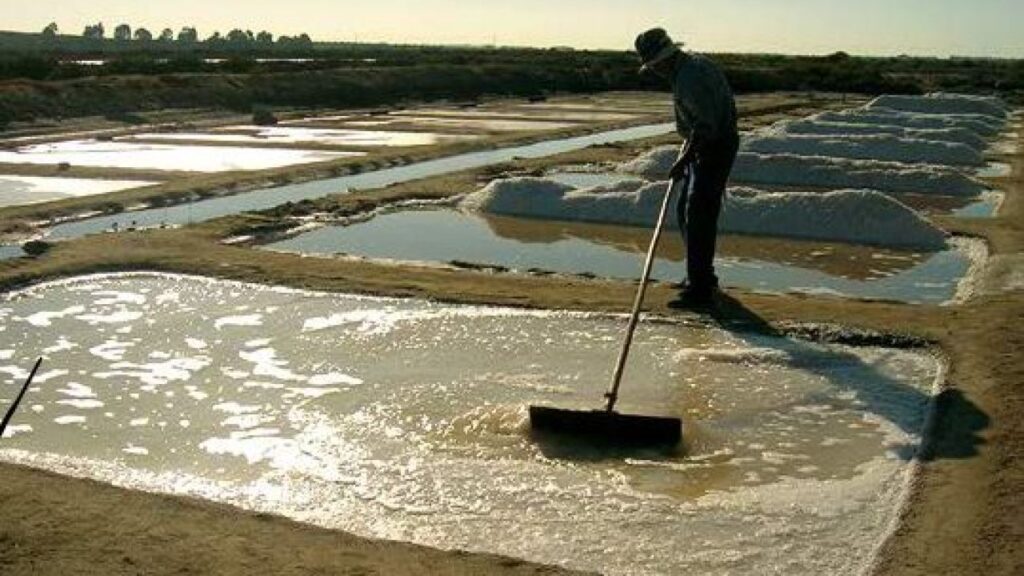 salinas artesanales en Huelva