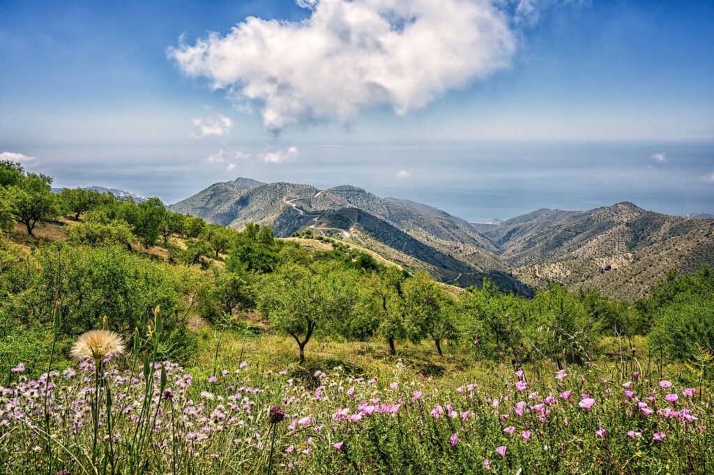 paisaje en Andalucía