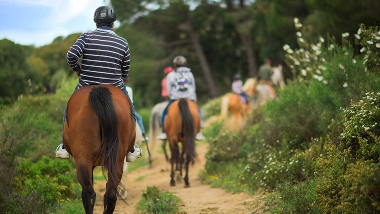 El turismo, solución para la hiperconexión digital