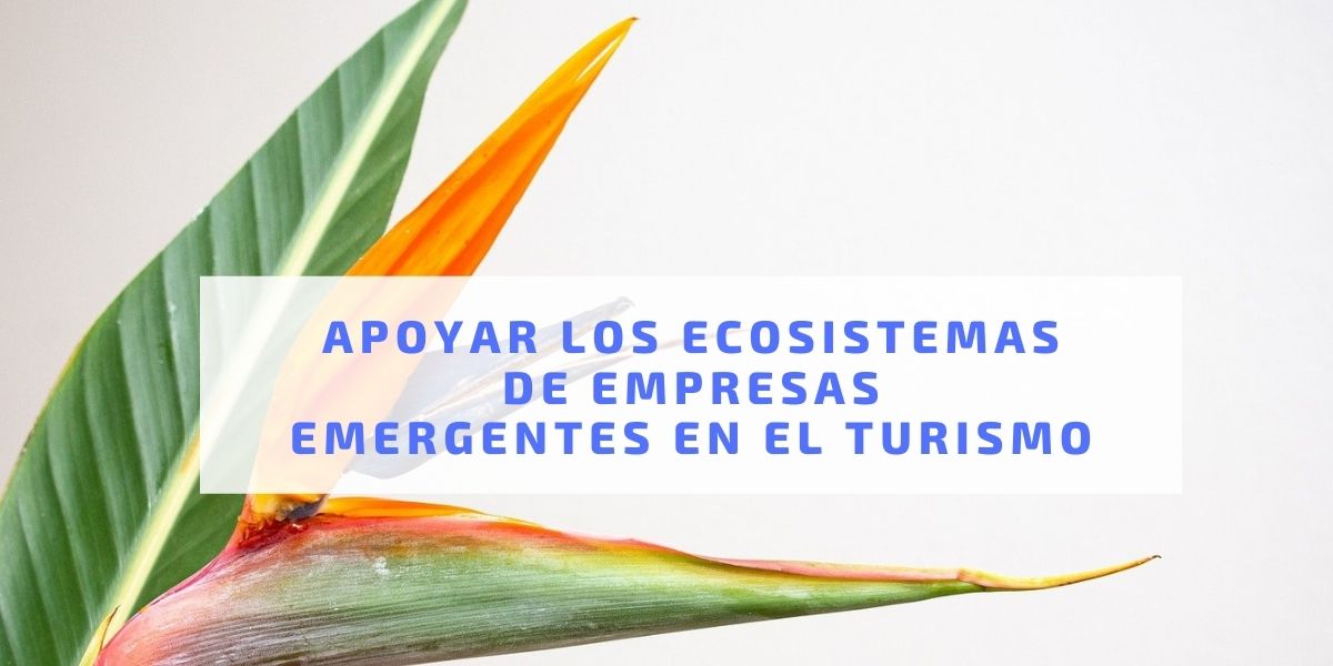 Apoyar los ecosistemas de empresas emergentes en el turismo