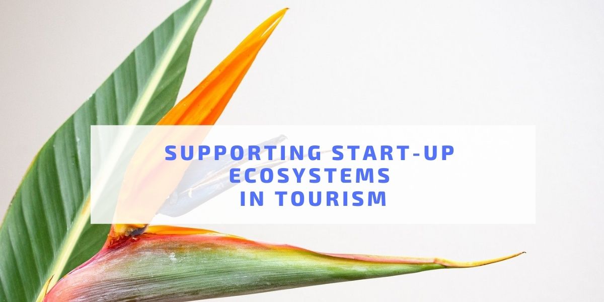 Supporting Start-Up Ecosystems in Tourism