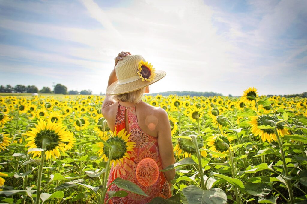 Viajar sola en Andalucía girasoles