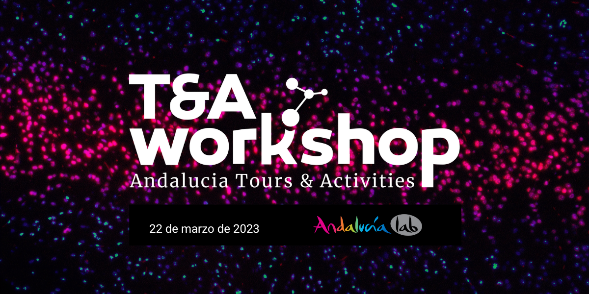 Segunda Edición T&A Workshop: Conecta con tu mercado